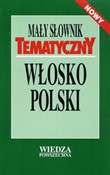polish book : Mały słown... - Hanna Cieśla, Ilona Łopieńska