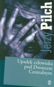 Picture of Upadek człowieka pod Dworcem Centralnym