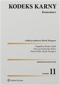 Polska książka : Kodeks kar... - Magdalena Budyn-Kulik, Patrycja Kozłowska-Kalisz, Marek Kulik, Marek Mozgawa