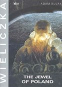 polish book : Wieliczka ... - Adam Bujak