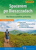 Przewodnik... - Stanisław Orłowski -  books in polish 