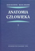 Zobacz : Anatomia c... - Adam Bochenek, Michał Reicher