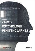 Zarys psyc... - Robert Poklek -  books in polish 