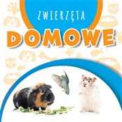 Wstęgi kar... - Opracowanie Zbiorowe -  books from Poland