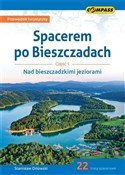 Spacerem p... - Stanisław Orłowski -  books from Poland