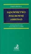 Sądownictw... - Łukasz Błaszczak, Małgorzata Ludwik -  books in polish 