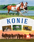 Konie - Małgorzata Mąkosa -  books from Poland