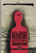 Bieszczady... - Rafał Dominik -  books from Poland