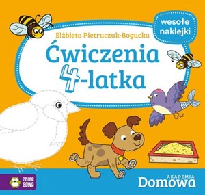 Picture of Ćwiczenia 4-latka Domowa Akademia