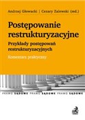 polish book : Postępowan... - Szymańska Anna, Multaniak Paweł, Marek Mirosław, Bigaj Grzegorz, Piechowiak Błażej