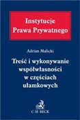 Treść i wy... - Adrian Malicki -  Polish Bookstore 