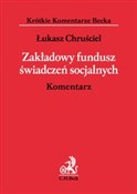 Polska książka : Zakładowy ... - Łukasz Chruściel
