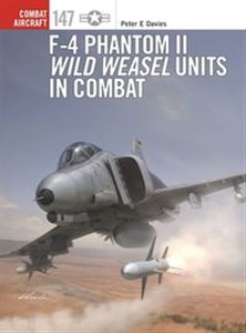 Picture of F-4 Phantom II Wild Weasel Units in Combat