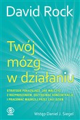Twój mózg ... - David Rock -  Polish Bookstore 