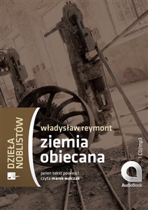 Picture of [Audiobook] Ziemia obiecana