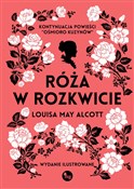 polish book : Róża w roz... - Louisa May Alcott