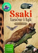 polish book : Ssaki lasó... - Małgorzata Wilamowska