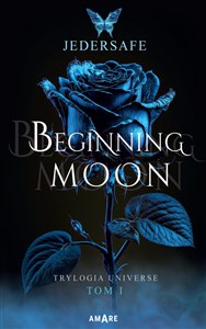 Picture of Beginning Moon