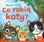 Książka : Co robią k... - Renata Opala, Kazimierz Wasilewski