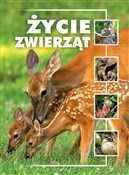 Polska książka : Życie zwie... - Remigiusz Koziński