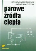 Polska książka : Parowe źró... - Krystyna Mizielińska, Jarosław Olszak