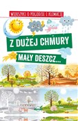 polish book : Z dużej ch... - Agnieszka Nożyńska-Demianiuk