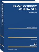 Prawo ochr... - Krzysztof Gruszecki -  books from Poland