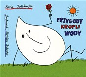 Przygody k... - Maria Terlikowska -  Polish Bookstore 