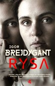 Polska książka : Rysa - Igor Brejdygant
