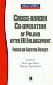 Polska książka : Cross bord... - Katarzyna Krok, Maciej Smętkowski