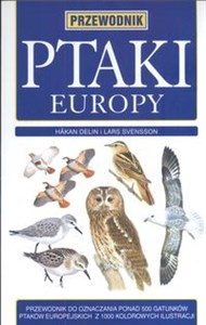 Obrazek Ptaki Europy Przewodnik