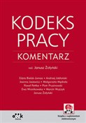 Polska książka : Kodeks pra... - Janusz Żołyński (red.) dr