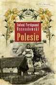 Polesie - Antoni Ferdynand Ossendowski -  Polish Bookstore 