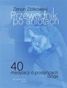 Przewodnik... - Zenon Ziółkowski -  foreign books in polish 