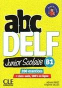 ABC DELF B... - Adrien Payet, Virginie Salles -  foreign books in polish 