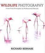 Polska książka : Wildlife P... - Richard Bernabe