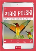 Ptaki Pols... - Anna Przybyłowicz, Łukasz Przybyłowicz - Ksiegarnia w UK