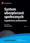 System ube... - Grażyna Szpor, Zofia Kluszczyńska, Wiesław Koczur -  books from Poland
