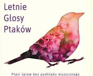 Picture of Letnie głosy ptaków CD