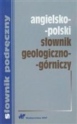 polish book : Angielsko-... - Monika Barańska, Ewa Romkowska