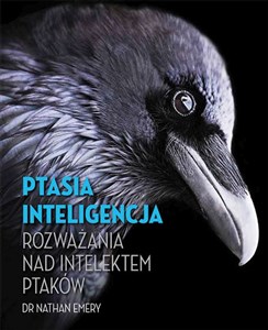 Picture of Ptasia inteligencja Rozważania nad intelektem ptaków