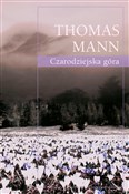 polish book : Czarodziej... - Thomas Mann