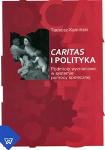 Picture of Caritas i polityka Podmioty wyznaniowe w systemie pomocy społecznej