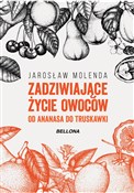 Książka : Zadziwiają... - Jarosław Molenda