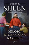 Polska książka : Miłość któ... - J. Sheen Fulton