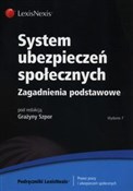 System ube... - Zofia Kluszczyńska, Katarzyna Roszewska, Grażyna Szpor -  books from Poland