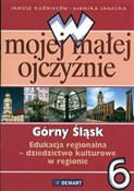 W mojej ma... - Janusz Kuźnieców, Monika Sanecka, Zdzisław Skrok -  books in polish 