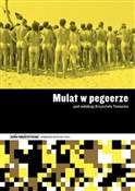 Polska książka : Mulat w pe... - Red. Krzysztof Tomasik