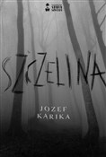 Zobacz : Szczelina - Józef Karika