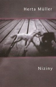 Picture of Niziny